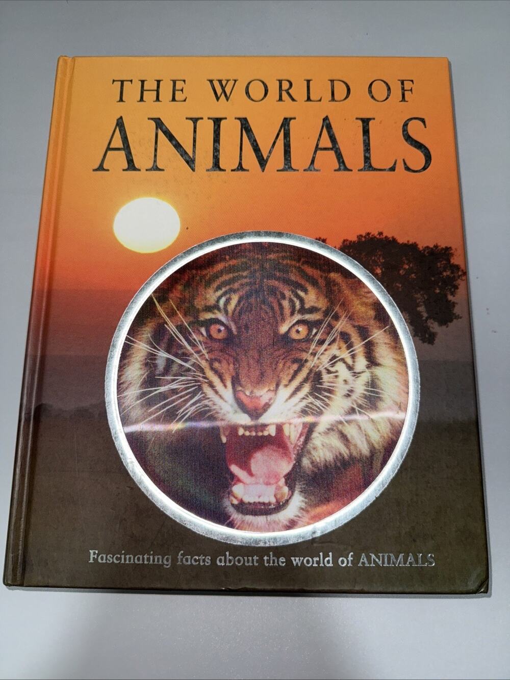 World of Animals by Jinny Johnson and Martin Walters (2011, Library Binding)